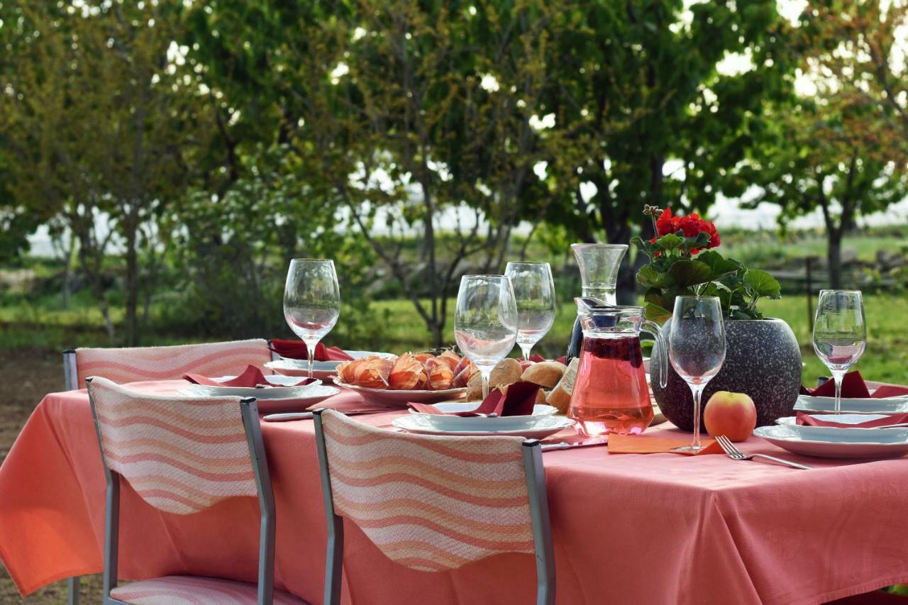 Easyliving House Near Zadar Villa Posedarje Bagian luar foto